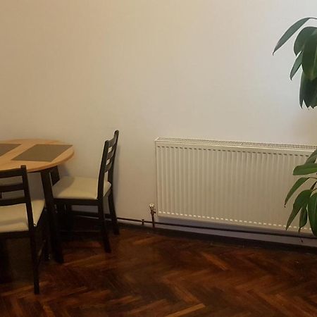 Cosy Studio-Apartament Oradea Buitenkant foto