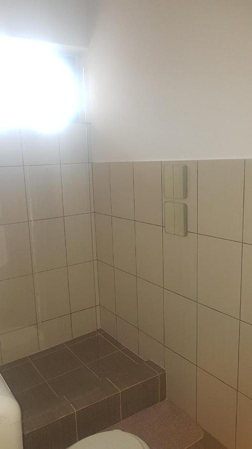 Cosy Studio-Apartament Oradea Buitenkant foto