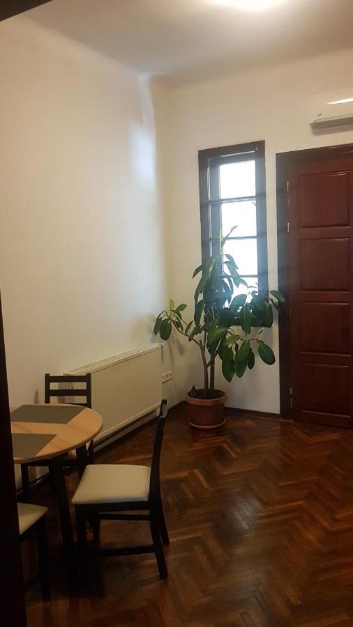 Cosy Studio-Apartament Oradea Buitenkant foto