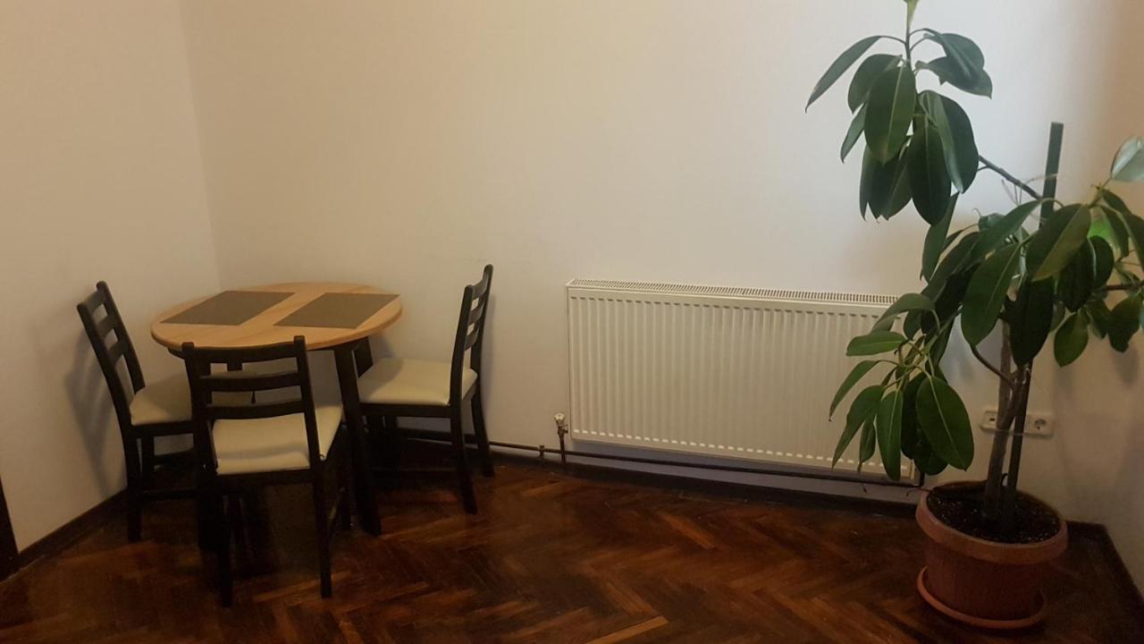 Cosy Studio-Apartament Oradea Buitenkant foto